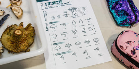 activitat pedagògica al Museu de Mataró